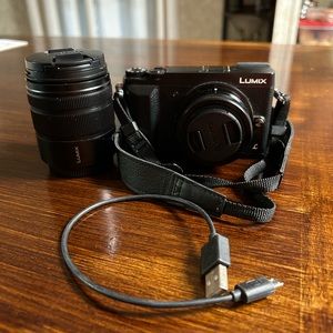 Panasonic Luminex Camera, 2 lenses, strap and charger
